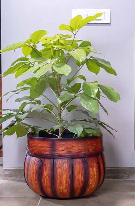 Wodden Barrel