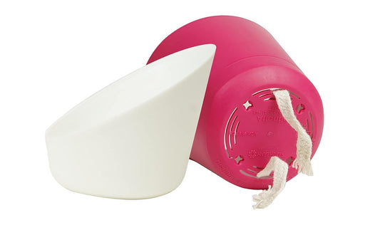 Atlantis Self Watering Plastic Pot