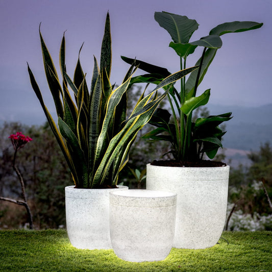 Glowing Planters