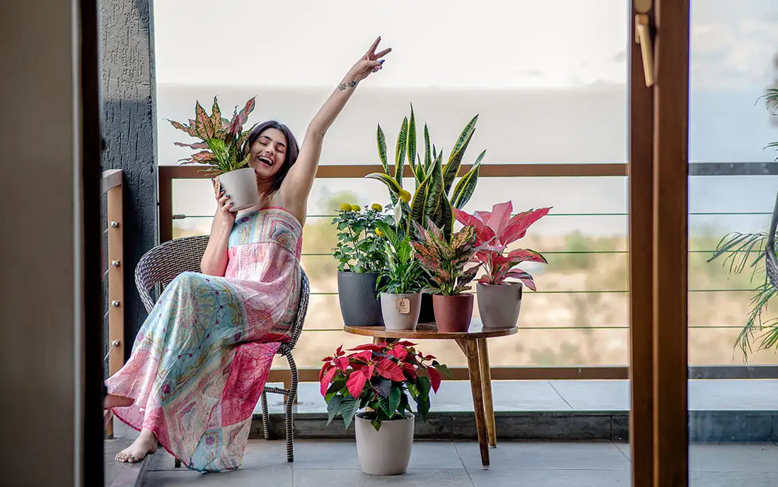 Benefits of Eco Friendly Planters