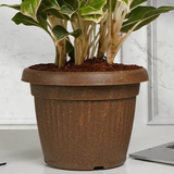 Bello Round 25 with Tray