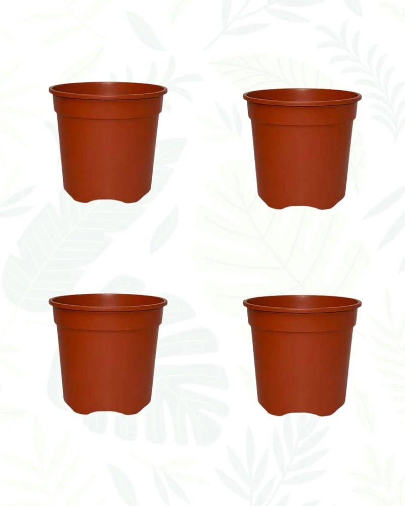 Advance Plastic Pots 4 Inch