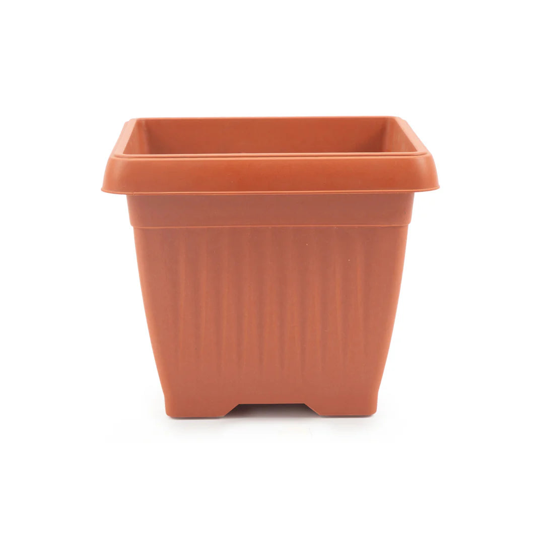 Bello Square Plastic Planter