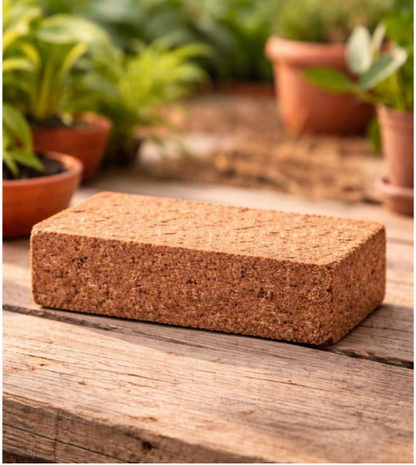 Cocopeat Block (Low EC)