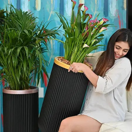 Tokyo Dual Tone without Inner 40