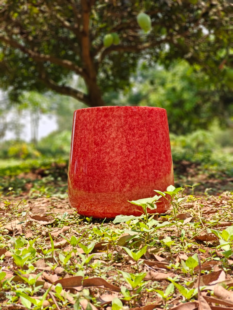 Pearl Planter