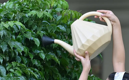Ripples-Watering Can